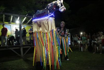 Festival Marajoara de Cultura Amazônica fortalece música, saberes e tradições 