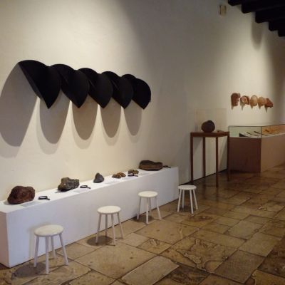 Casa das Onze Janelas inaugura exposição que une arte e ciências naturais